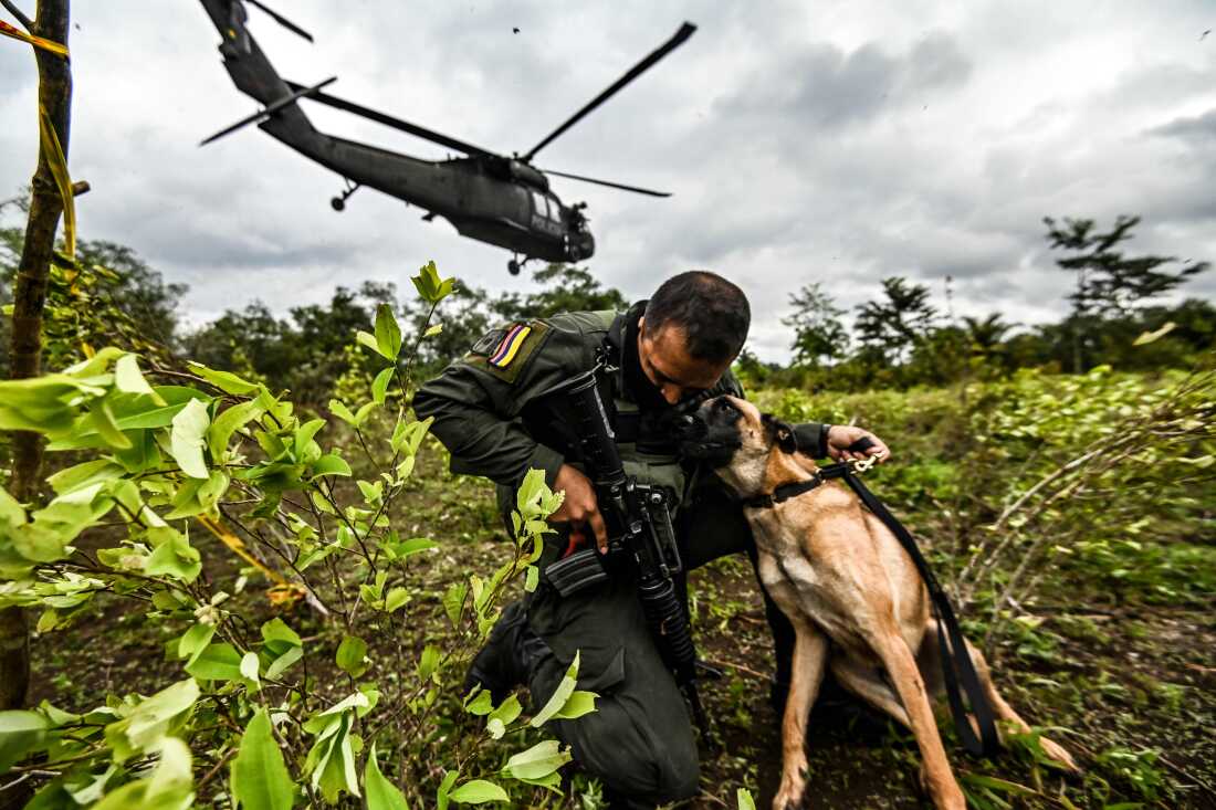 TOPSHOT - Un policier colombien embrasse un chien lors d'une opération visant à éradiquer les cultures illicites à Tumaco, département de Narino, Colombie, le 30 décembre 2020.