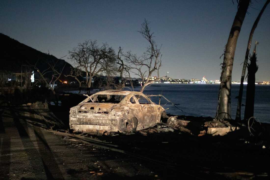 Les conséquences de l'incendie des Palisades sont visibles sur un tronçon touché de la Pacific Coast Highway.