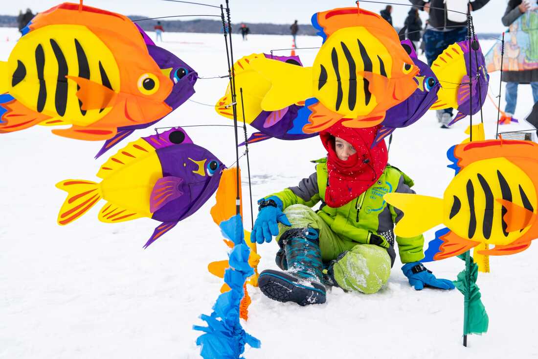 Un enfant joue dans une mer de cerfs-volants de poissons au Frozen Assets Festival sur le lac Mendota le samedi 7 février 2026, à Madison, Wisconsin. Photo de Kayla Wolf