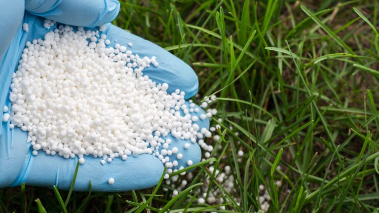 Après 10 ans, l&rsquo;interdiction a pris fin : c&rsquo;est devenu gratuit en Turquie après la guerre en Iran !