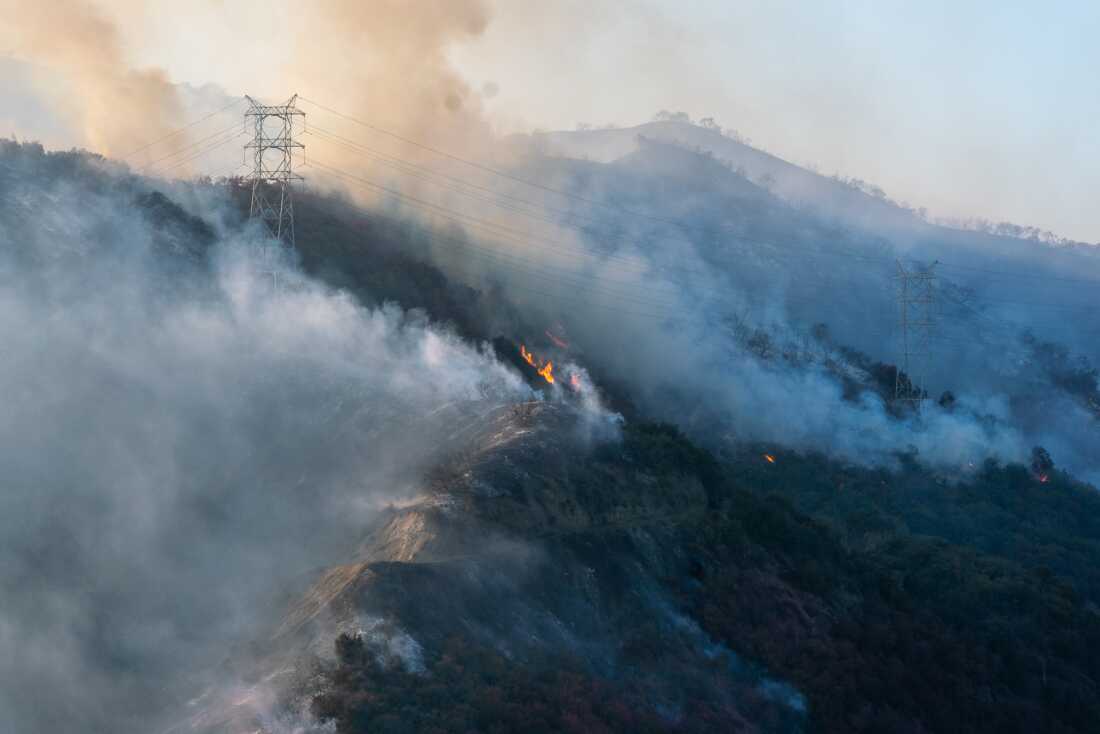 Une partie de l'incendie des Palisades brûle dans les collines de Los Angeles en janvier dernier. Après les incendies de Los Angeles, la désinformation diffusée sur les réseaux sociaux a eu un impact sur la politique de l’État.