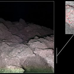 Les éléments constitutifs de la vie découverts sur l&rsquo;astéroïde Ryugu