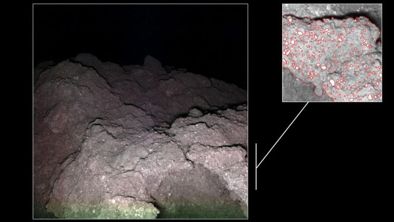Les éléments constitutifs de la vie découverts sur l&rsquo;astéroïde Ryugu