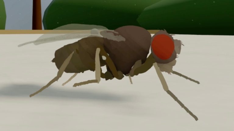 Une copie exacte d’un cerveau réel a été exécutée sur un ordinateur ; les discussions ont commencé