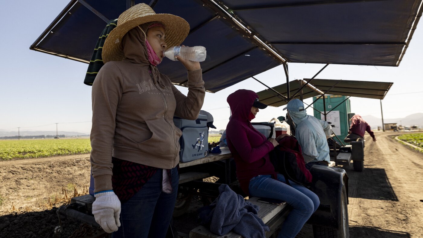 Une étude californienne tire des leçons des efforts visant à protéger les travailleurs de la chaleur excessive