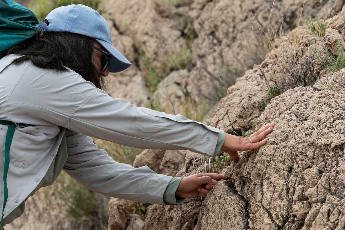 Naomi Fraga souligne la vie sauvage indigène.