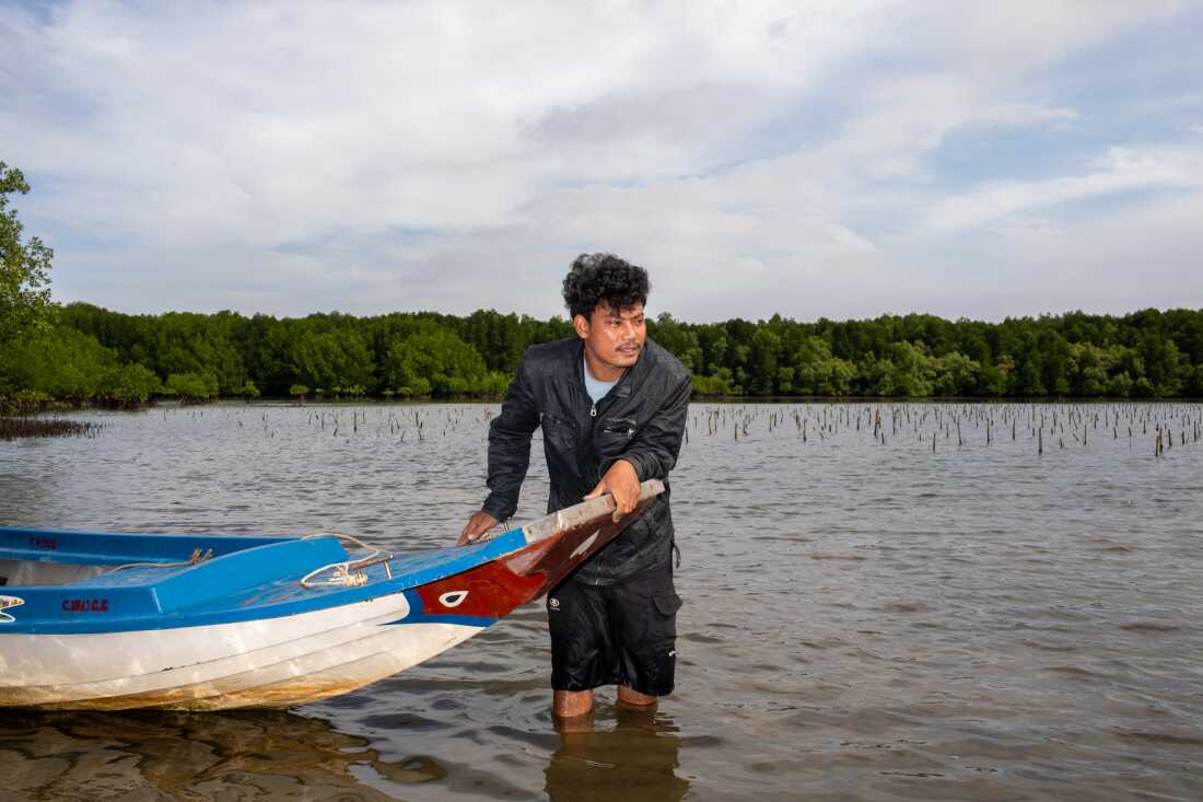 Khiev Chien aide à gérer la pêcherie communautaire locale, qui protège les forêts de mangroves locales et participe aux efforts de replantation. Les mangroves sont excellentes pour piéger le carbone, qui autrement contribuerait au réchauffement climatique, et Khiev est fier que le travail qu'il accomplisse contribue à lutter contre le changement climatique.