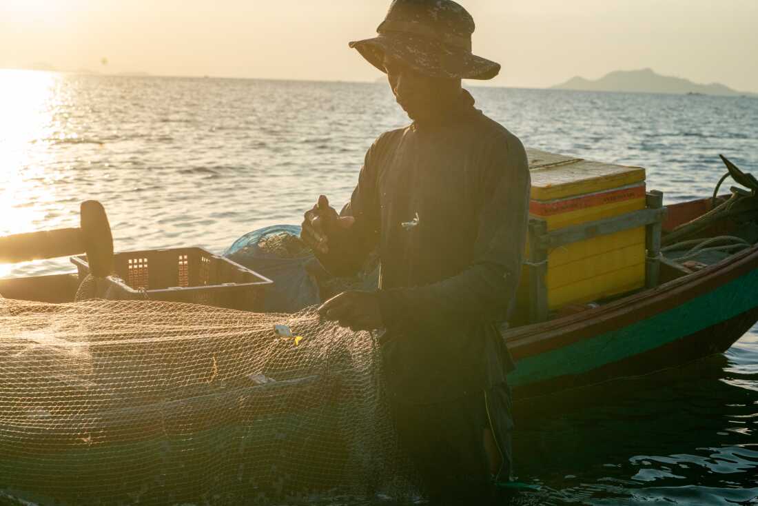Un pêcheur trie ses prises au coucher du soleil.