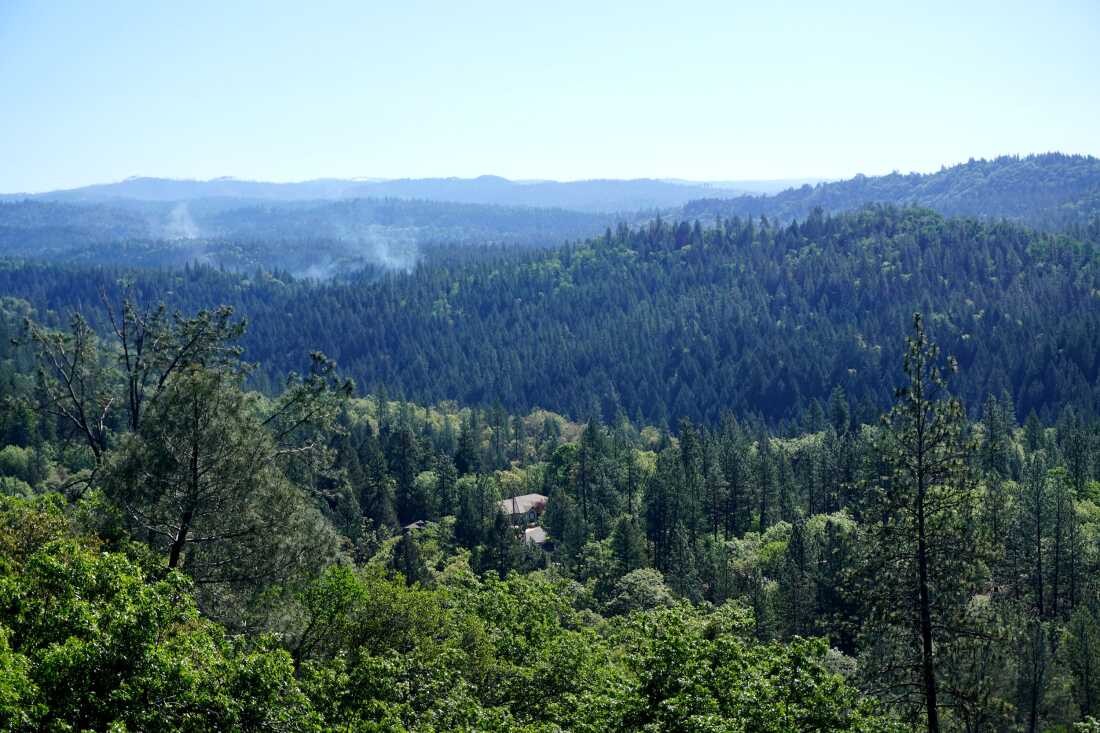 La fumée d'un brûlage dirigé, déclenché intentionnellement pour éliminer les tas de broussailles denses, dérive au-dessus de la périphérie de Placerville. Les maisons sont disséminées à l'interface entre la nature et la ville, ce qui les expose au risque d'incendie.