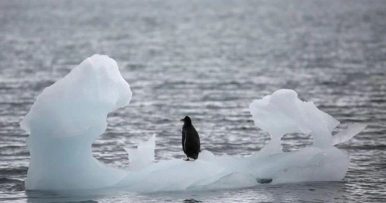 Fonte effrayante dans l’Arctique ! Türkiye sera-t-elle submergée ? - Photo : 2