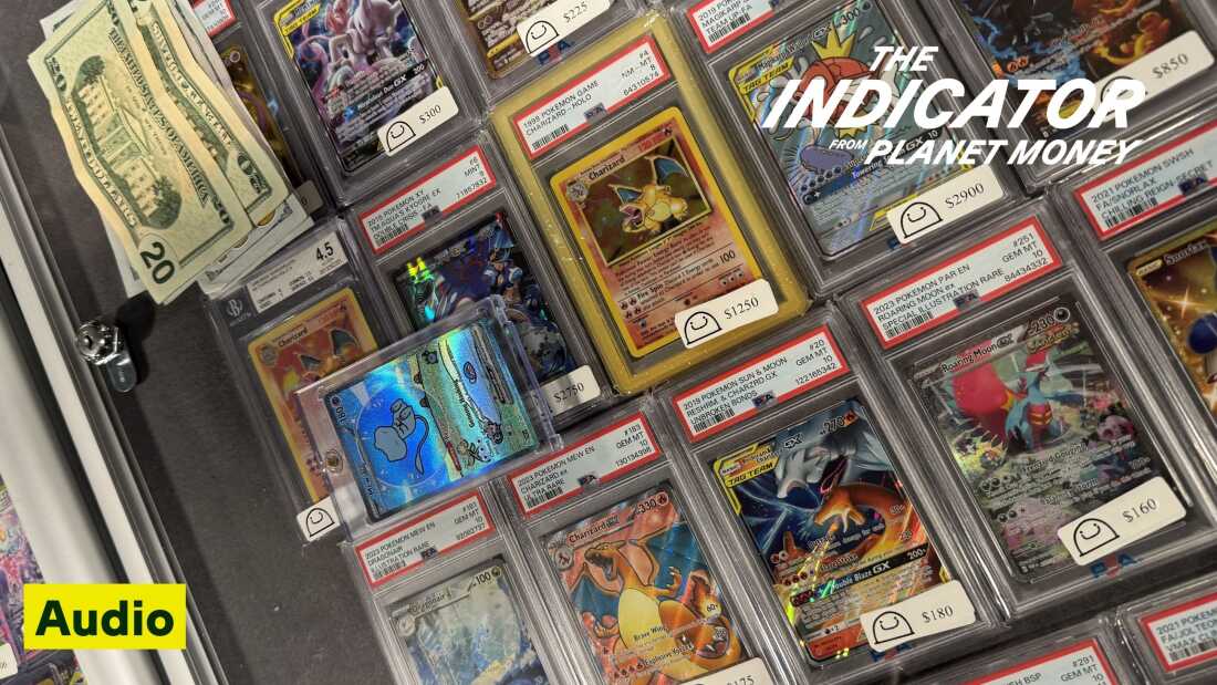 Cartes Pokémon exposées à la table d'un vendeur à Denver, Colorado.