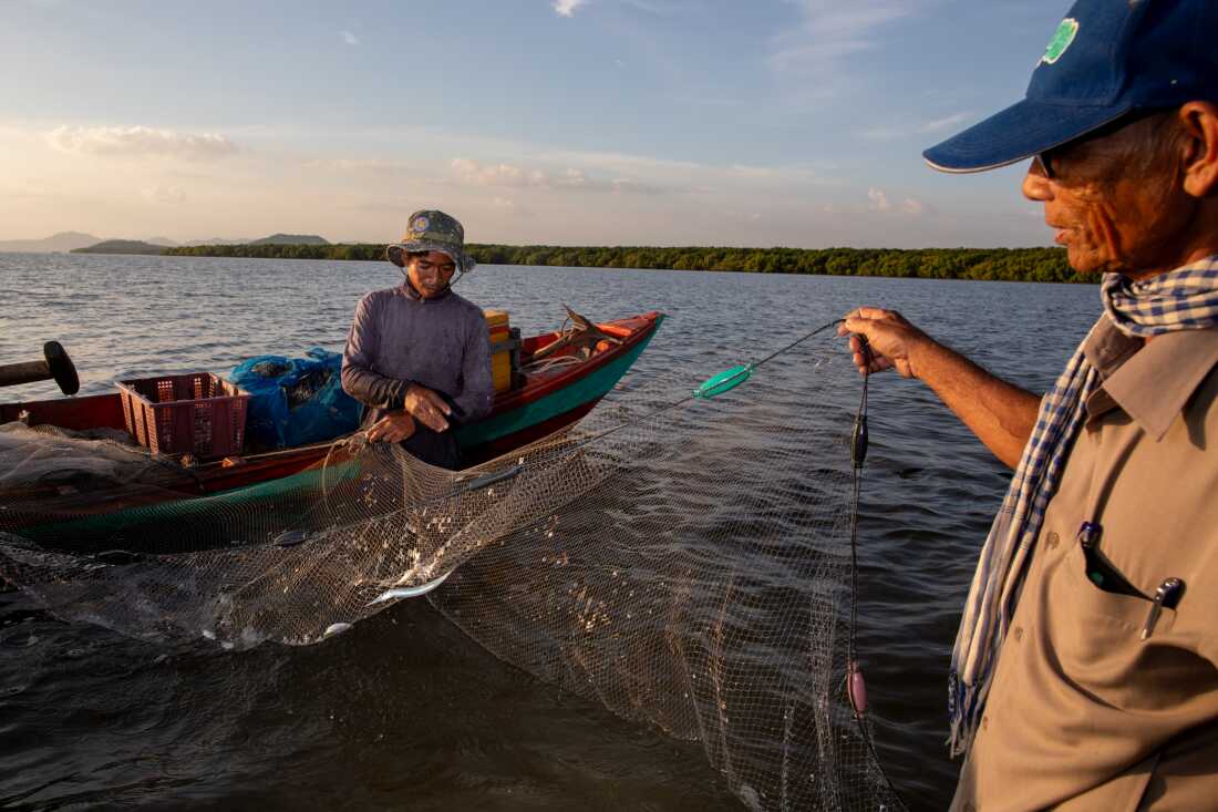 Les pêcheries locales sur la côte cambodgienne ont été aux prises avec des populations de poissons décimées pendant des années. Aujourd’hui, ils font équipe avec les fruits de mer, grâce aux efforts locaux de restauration écologique. Ici, à droite, le chef du village de Koh Kresna, Khiev Sat, discute avec un pêcheur des prises du jour.
