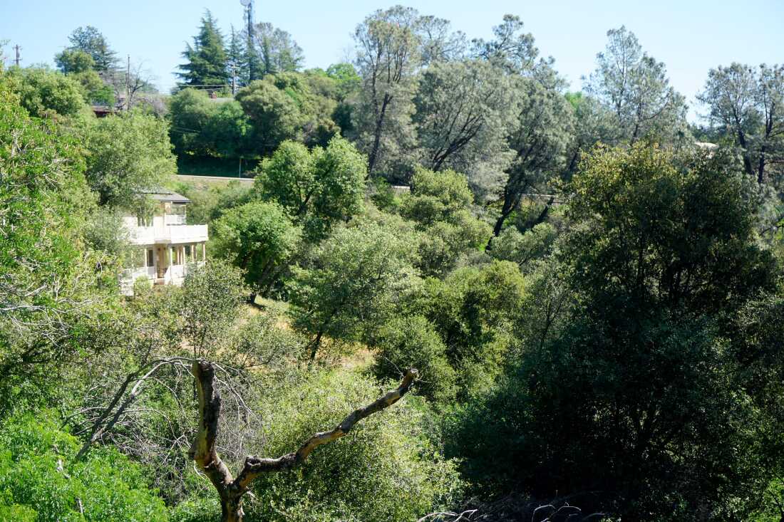 Avec une végétation épaisse et des pentes abruptes, Placerville, en Californie, s'efforce de réduire le risque d'incendie de forêt catastrophique.