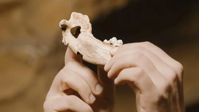 Preuves trouvées à Pınarbaşı en Turquie : une découverte qui change l&rsquo;histoire