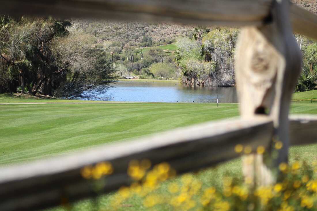 Un étang se trouve sur le parcours de golf Rancho Manana à Cave Creek le 20 février 2026. La ville utilise les effluents de son usine de traitement d'eau pour approvisionner une partie de l'eau du club de golf.