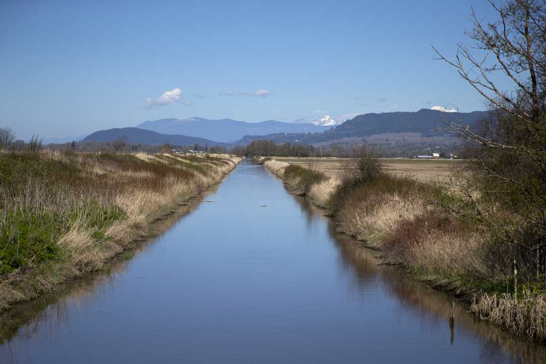 La digue Tom Moore Slough, près de Big Ditch, protège les terres agricoles près de Stanwood, Washington, le 8 avril 2026.