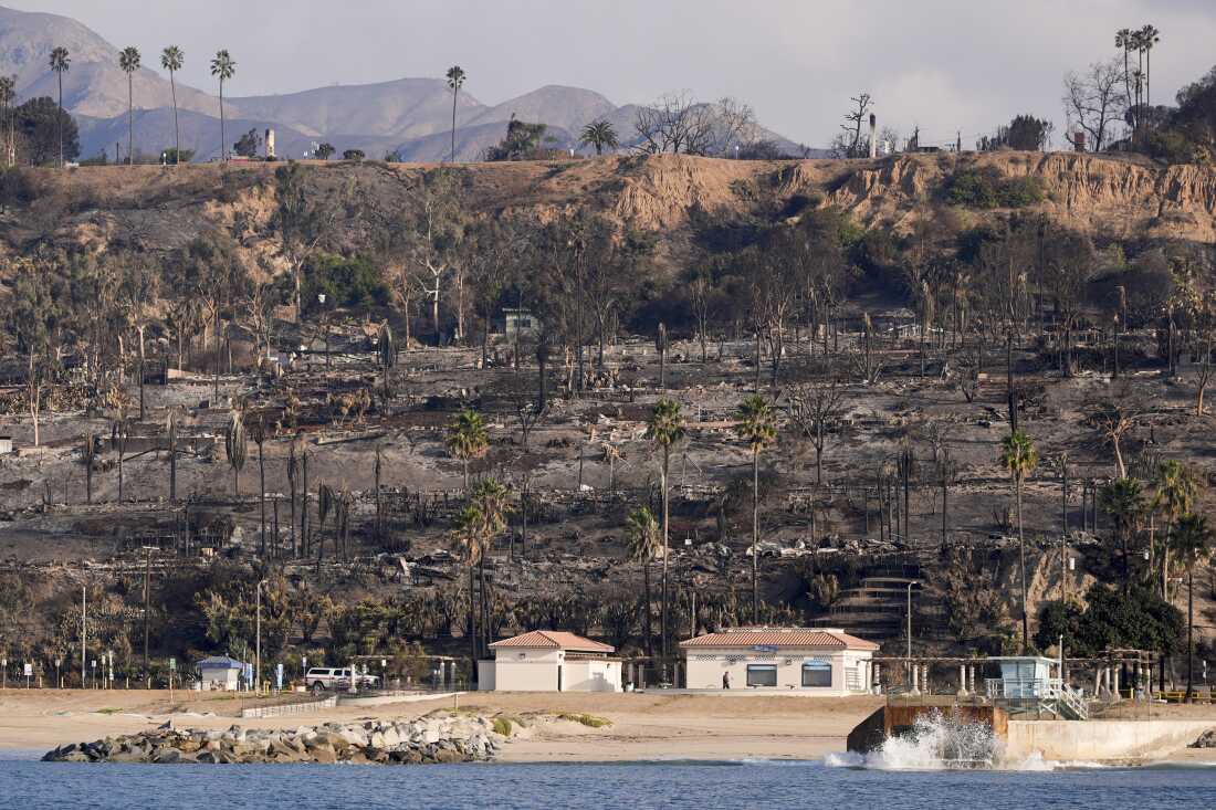 Propriétés endommagées par l'incendie des Palisades à Los Angeles, le vendredi 17 janvier 2025. Un conseil nommé par le président Trump recommande que la FEMA facilite l'accès des survivants de la catastrophe à l'argent pour se loger.