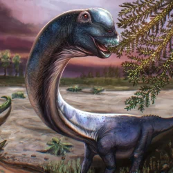 Une nouvelle espèce de dinosaure a été découverte : 27 mètres de long et pesant 27 tonnes