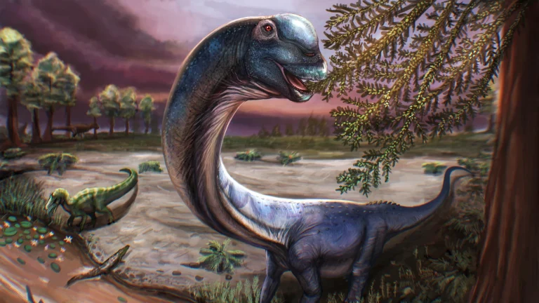 Une nouvelle espèce de dinosaure a été découverte : 27 mètres de long et pesant 27 tonnes