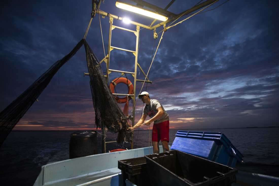 Caleb Hanson, petit-fils du crevettier de longue date Acy Cooper, vide un filet de crevettes et de prises accessoires lors d'une nuit de pêche à la crevette le 26 août 2019 au large de la paroisse de Plaquemines, en Louisiane.