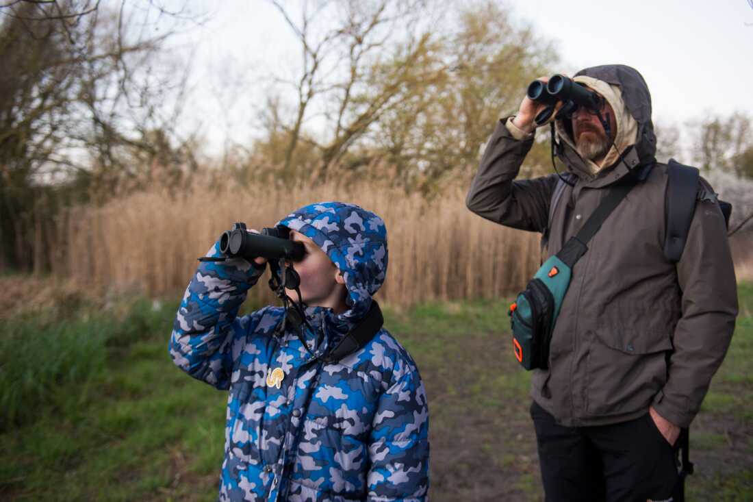 Un garçon, Oliver Hughes, et son père, Michael Hughes, regardent à travers des jumelles tout en scrutant les marais environnants à la recherche de castors.