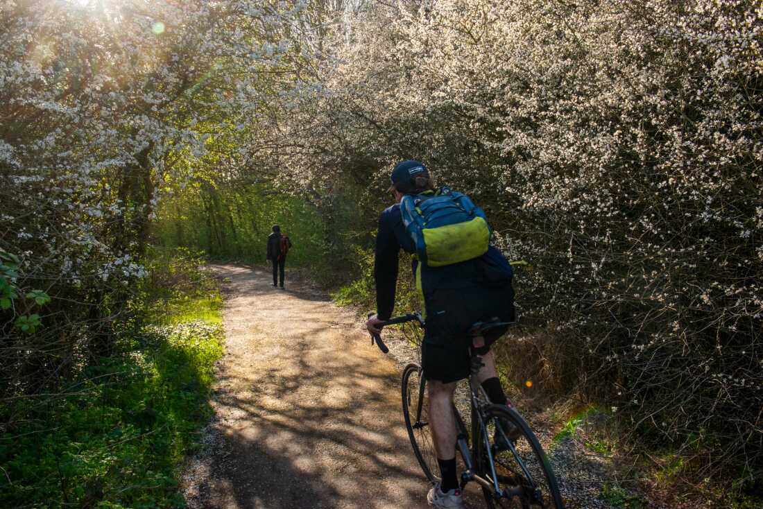 Un cycliste fait du vélo le long d'un sentier du projet Ealing Beaver à Greenford, Londres, le 28 mars 2026. Les deux côtés du sentier sont bordés d'arbres aux fleurs blanches et roses. Au loin, un piéton précède le cycliste sur le chemin.