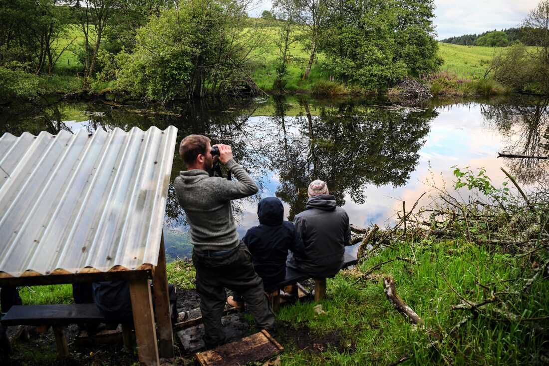 Sur cette photo de 2024, Tom Bowser regarde à travers des jumelles alors qu'il se tient au bord d'un étang en Écosse. Deux autres personnes sont assises sur un banc au bord de l’étang.