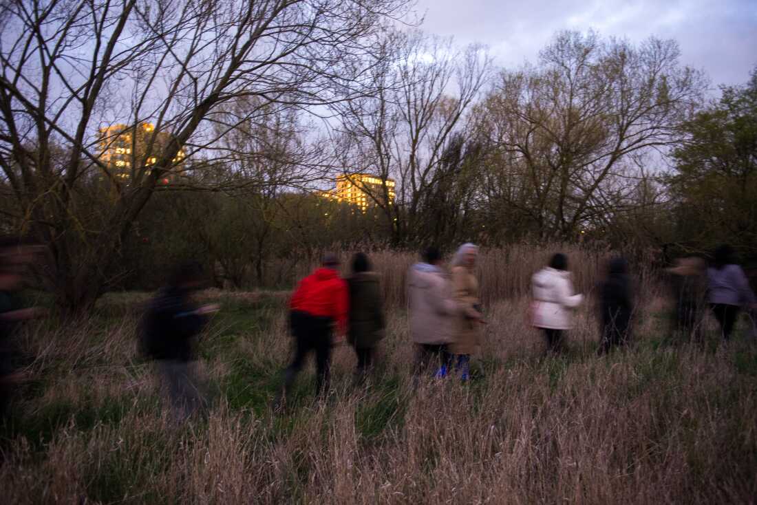 Les participants à une visite guidée d'un nouvel habitat de castor marchent en ligne à travers les hautes herbes de la réserve naturelle de Paradise Fields.