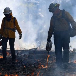 L’administration Trump prend du retard en matière de prévention des incendies de forêt alors que la saison des incendies est risquée