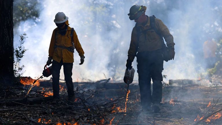 L’administration Trump prend du retard en matière de prévention des incendies de forêt alors que la saison des incendies est risquée