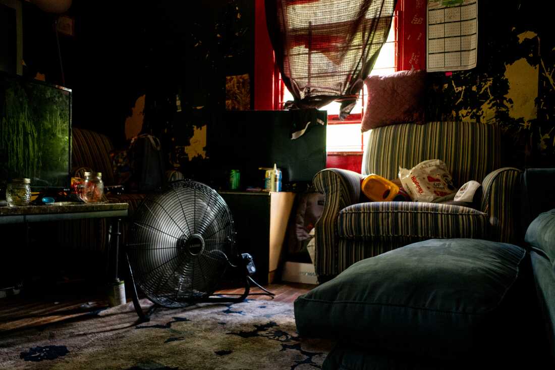 Cette photo montre une pièce avec un ventilateur sur pied sur un tapis, un fauteuil rembourré, une table de bout et une table basse. Un rideau transparent recouvre la fenêtre, assombrissant la pièce.