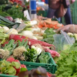 Les prix alimentaires mondiaux sont au plus haut depuis février 2023 !