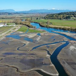 Pourquoi cette tribu achète des centaines d’acres de terres agricoles et les inonde