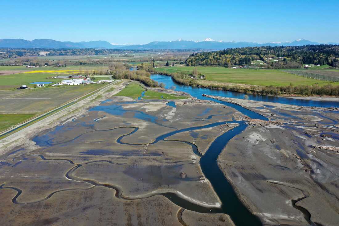 Une nouvelle digue construite par la tribu Stillaguamish, à gauche, sépare les terres agricoles des zones humides récemment restaurées à l'embouchure de la rivière Stillaguamish, près de Stanwood, Washington, le 8 avril 2026.