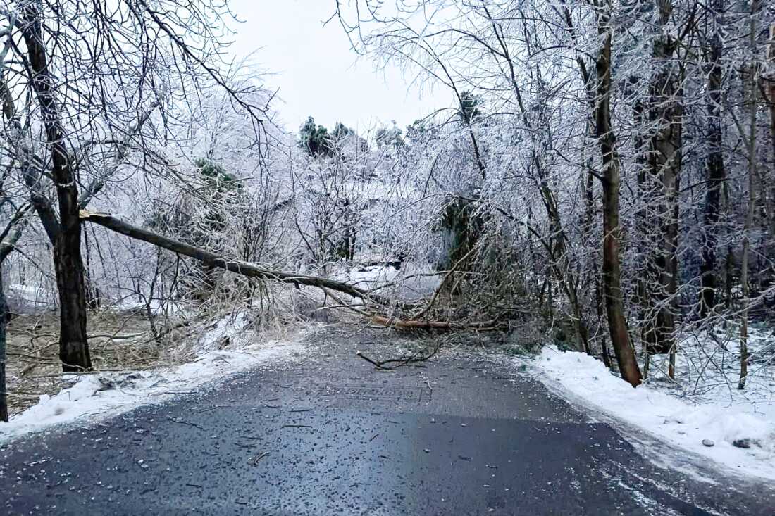 Une tempête de verglas dans le nord du Michigan fin mars 2025 a fait tomber des arbres et des lignes électriques, provoquant des dégâts et des pannes généralisés.