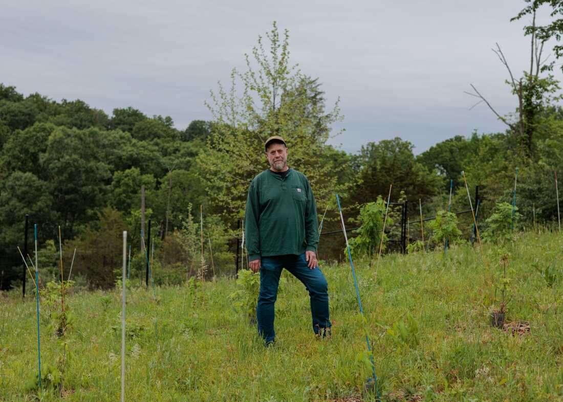 Morgan Grove, ancien chercheur du Service forestier, se trouve sur le site Native Oak Tree Regeneration: Oak Orchard de l'arboretum Cylburn à Baltimore, dans le Maryland. Le Service forestier tente de fermer les centres de recherche et de déplacer les chercheurs, perturbant ainsi les relations hyperlocales et personnelles établies avec les partenaires.