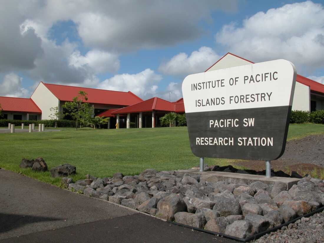 Le Service forestier loue un site qui abrite la station de recherche de l'Institut forestier des îles du Pacifique à Hilo, à Hawaï, pour 1 $.