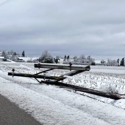 Alors que le changement climatique met le réseau à l’épreuve, devrions-nous enterrer les lignes électriques ? : RADIO NATIONALE PUBLIQUE