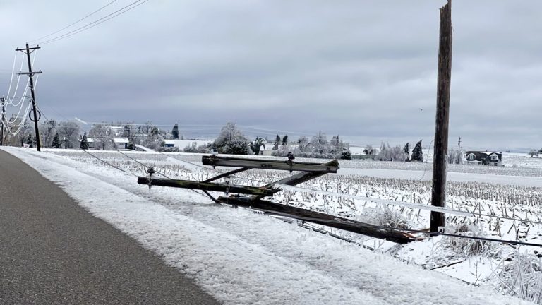 Alors que le changement climatique met le réseau à l’épreuve, devrions-nous enterrer les lignes électriques ? : RADIO NATIONALE PUBLIQUE