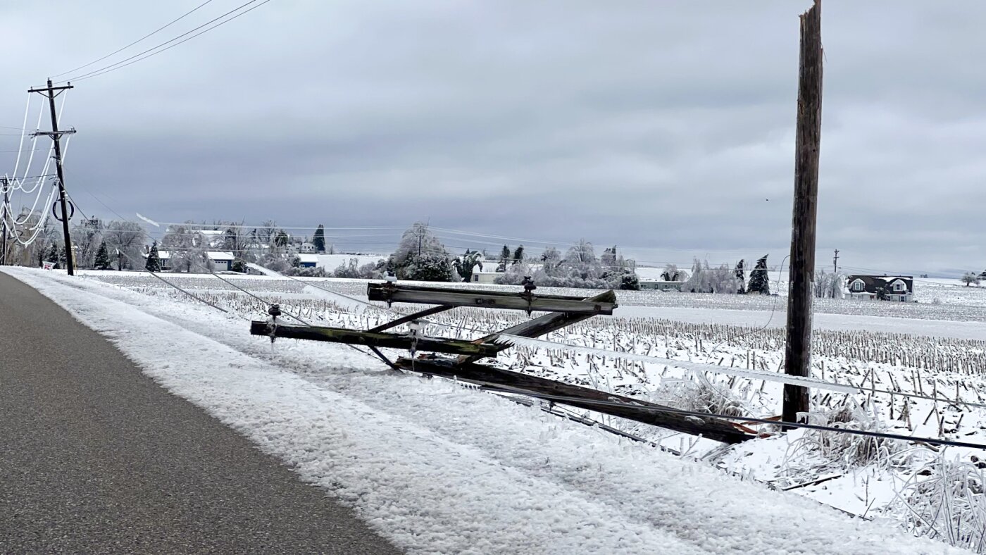 Alors que le changement climatique met le réseau à l’épreuve, devrions-nous enterrer les lignes électriques ? : RADIO NATIONALE PUBLIQUE