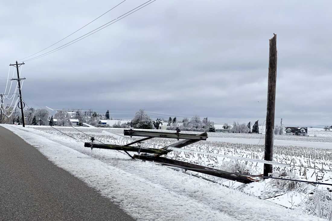 Une tempête de verglas dans le nord du Michigan fin mars 2025 a fait tomber des arbres et des lignes électriques, provoquant des dégâts et des pannes généralisés.
