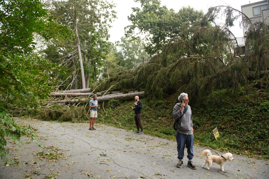 Les habitants passent des appels téléphoniques dans leur quartier après que les fortes pluies provoquées par l'ouragan Helene ont provoqué des inondations et des dégâts records le 28 septembre 2024 à Asheville, en Caroline du Nord.