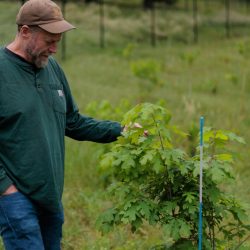 Le Service forestier souhaite fermer les pôles de recherche pour économiser de l&rsquo;argent. Cela pourrait coûter cher