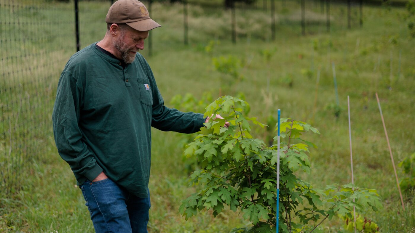 Le Service forestier souhaite fermer les pôles de recherche pour économiser de l'argent. Cela pourrait coûter cher