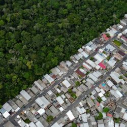 Pourquoi des millions de téléviseurs sont fabriqués au milieu de la forêt amazonienne : Planet Money : NPR
