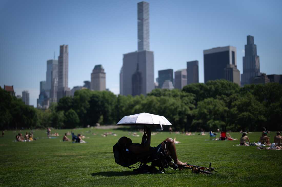 Une personne utilise un parapluie pour se protéger du soleil lors d'un avis de chaleur à Central Park, le mardi 19 mai 2026, à New York. 