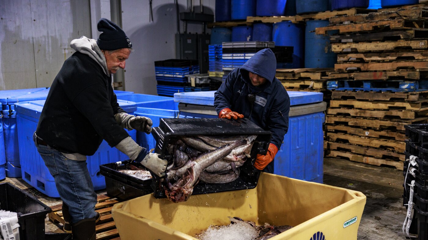 Un programme en période de pandémie maintient l’industrie de la pêche du Maine à flot : NPR