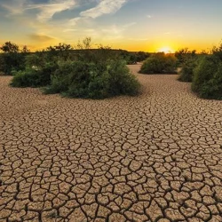 Sommes-nous arrivés au bout du chemin ? Les mers bouillonnent littéralement