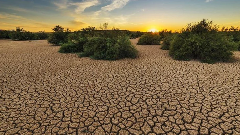 Sommes-nous arrivés au bout du chemin ? Les mers bouillonnent littéralement