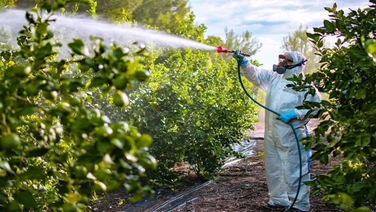 L’ère de l’utilisation des pesticides et des aliments riches en pesticides prendra fin - Photo : 2